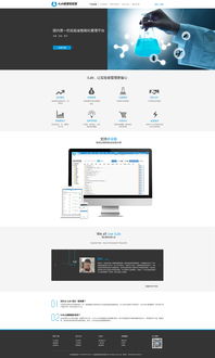 企业网站 软件公司官网设计